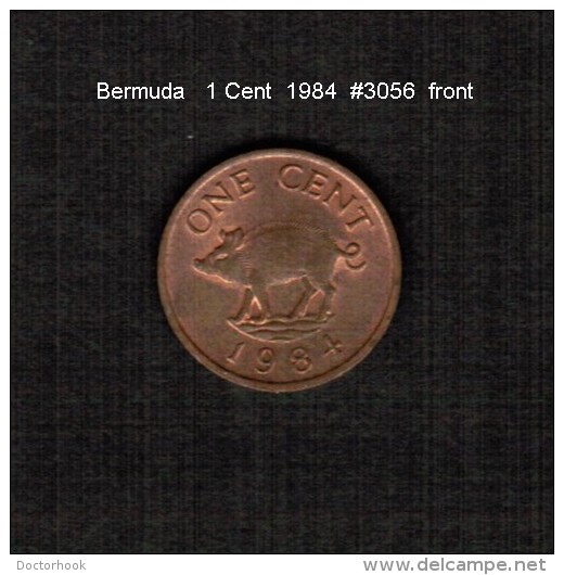 BERMUDA    1  CENT  1984  (KM # 15) - Bermuda