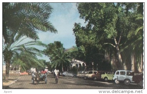 DJIBOUTI ( Le Centre ) - Somalia