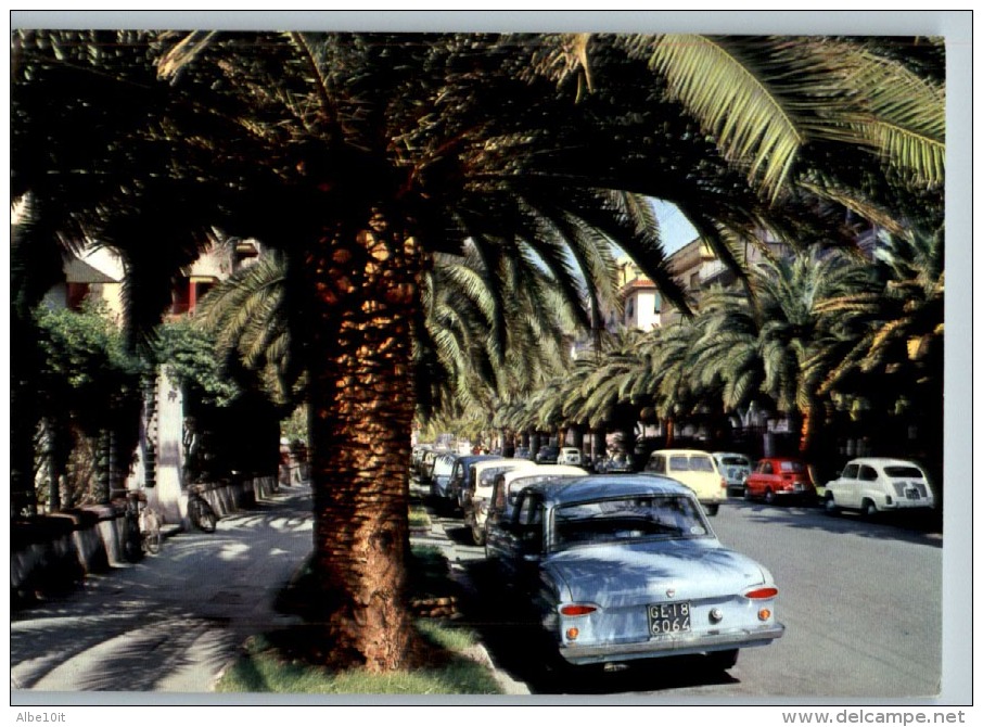 CHIAVARI (Genova) - VIALE DELLE PALME - VIAGGIATA 1964 - Altri & Non Classificati