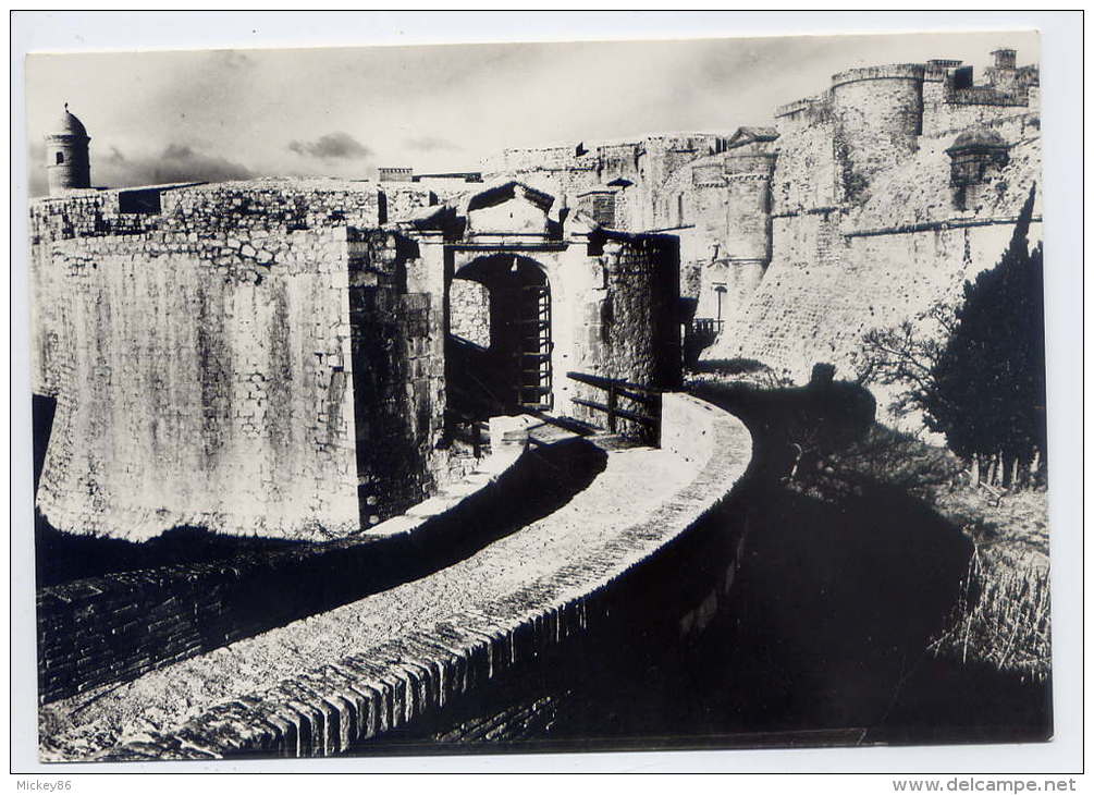 SALSES--Château De Salses--Fossé Sud--Défenses De L´entrée (pont Levis Et Grille),cpsm 10 X 15  éd SCMH - Salses