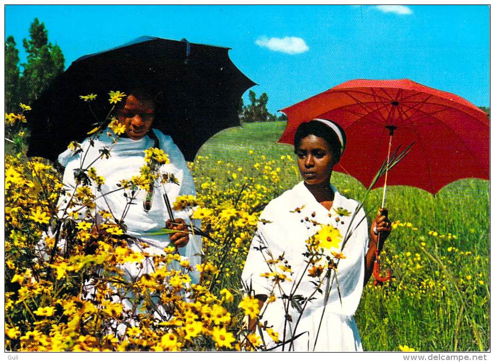 Afrique >ETHIOPIE ETHIOPIA Young Ethiopian Girls Among Maskal Flowers (photo By Kyriazis Zervos) *PRIX FIXE - Ethiopia