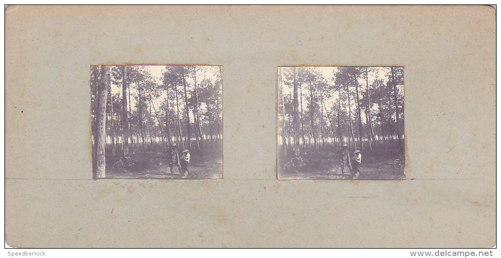 AP- 2 Photos Stereoscopiques 40x45mm Vers 1900. Sans Doute Landes France .vache Promeneur - Photos Stéréoscopiques