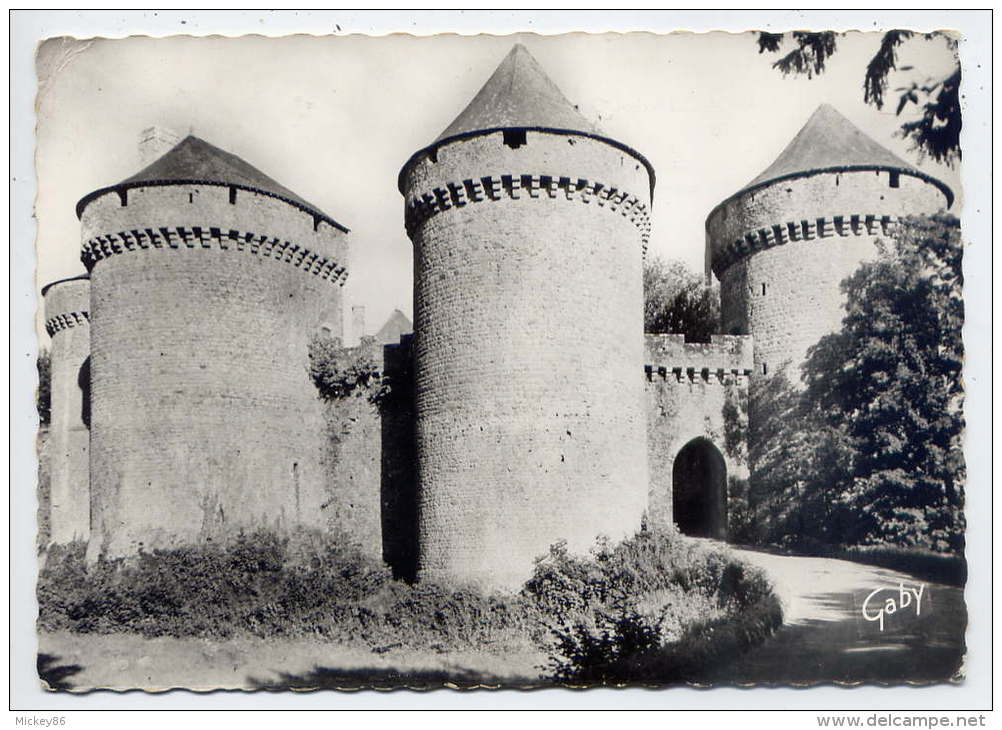 Env  De Bagnoles De L'Orne--LASSAY LES CHATEAUX--Vue D'ensemble ,cpsm 10 X 15 N° 135 éd Artaud - Lassay Les Chateaux