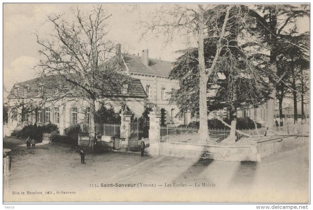 Carte Postale Ancienne De SAINT SAUVEUR - Saint Sauveur En Puisaye