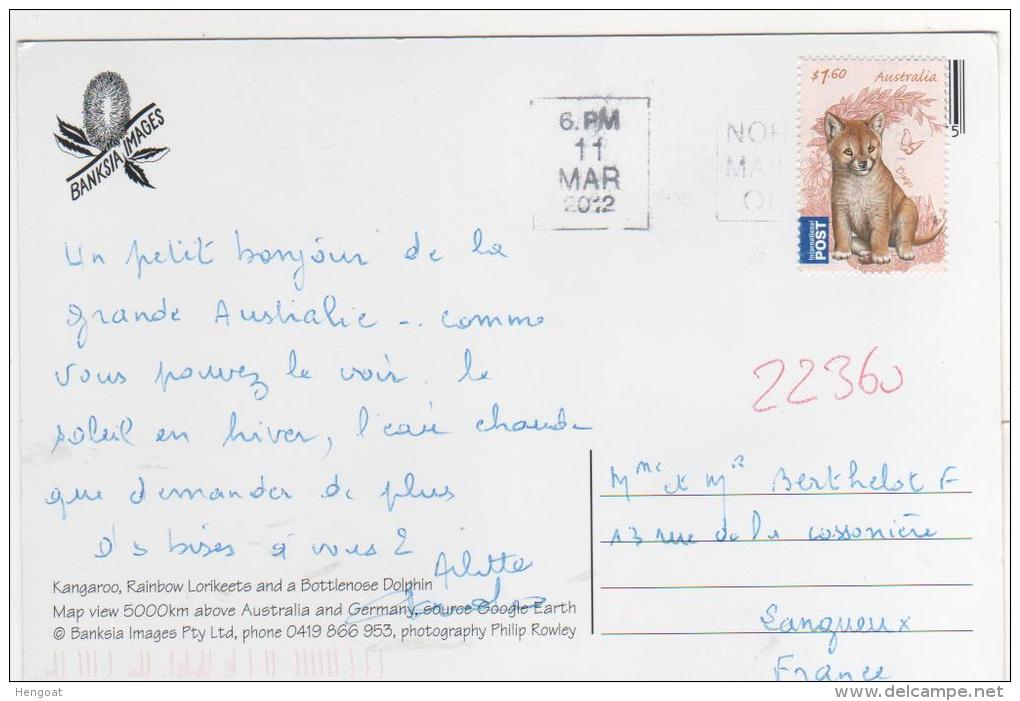 Beau Timbre  " Dingo " / Carte Du 11 Mars 2012  Pour La France , 2 Scans - Covers & Documents