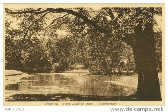 Bloemendaal Omgeving Hotel Duin En Daal 30.12.1927 Hemdingen Holstein - Bloemendaal