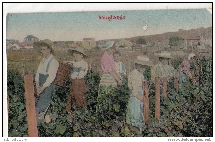Thème  Agriculture   Vendanges - Wijnbouw