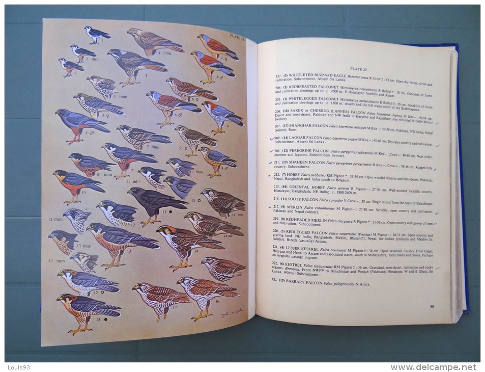 A PICTORIAL GUIDE Of The BIRDS Of The INDIAN Subcontinent (Sàlim Ali & Dillon Ripley) B.H.N.S. 1983 - Vie Sauvage