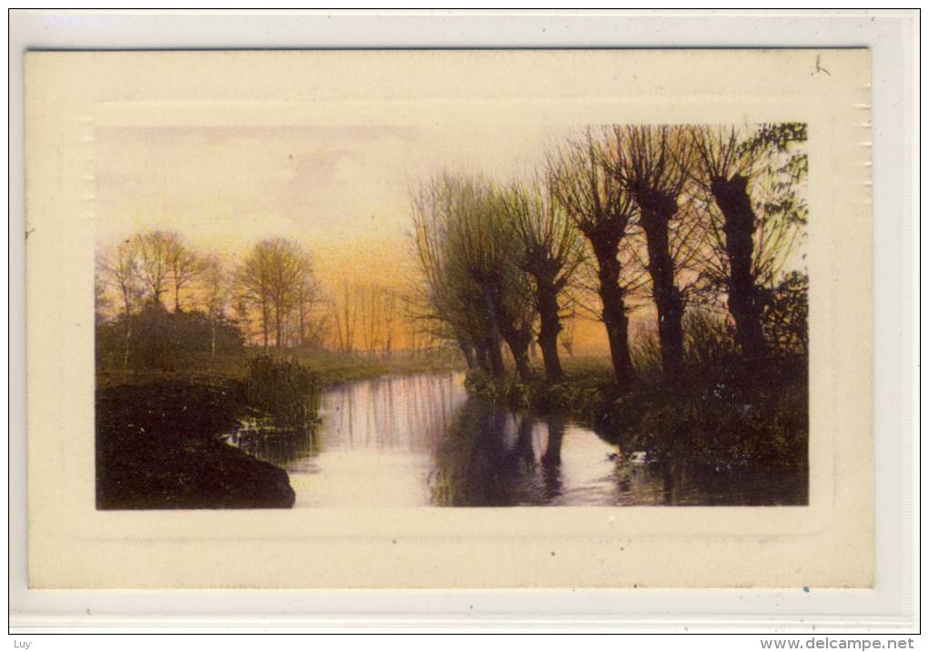 Flussau In Der Abendsonne - Künstler AK    1910 - Arbres