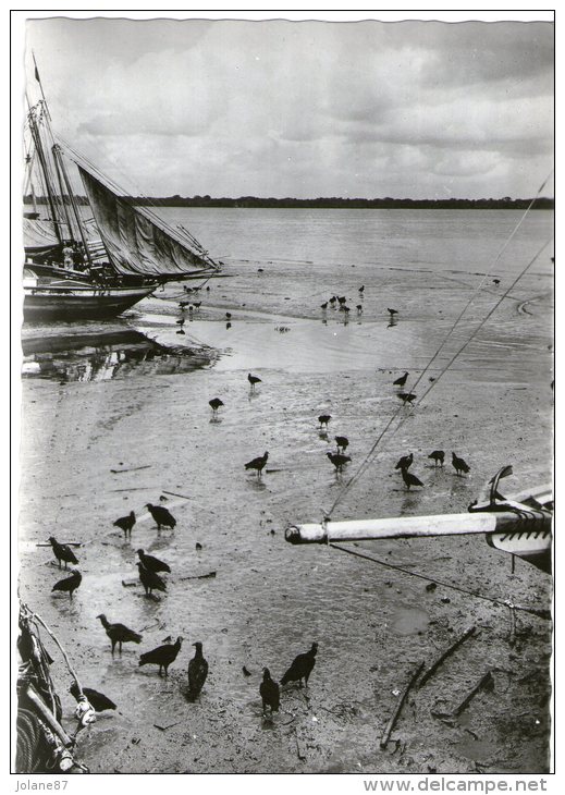 CPA PHOTO     BRESIL BELEM  -   VAUTOURS AU BORD D UN PETIT BRAS DU DELTA DE L AMAZONE - Belém