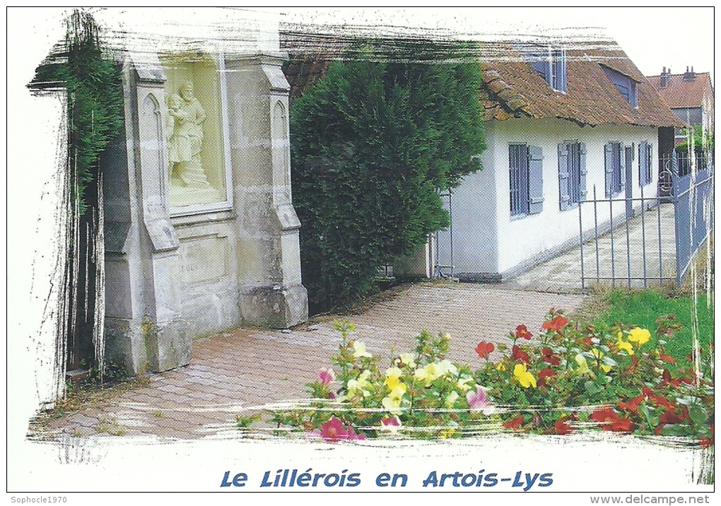 NORD PAS DE CALAIS - 62 - LILLERS - LE LILLEROIS En Artois Lys - CPM - Lillers