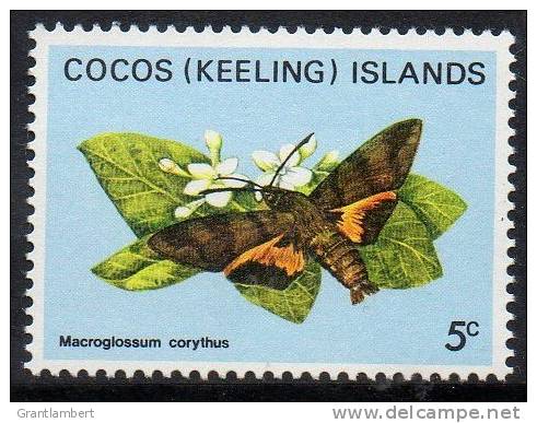 Cocos (Keeling) Islands 1982 Butterflies & Moths 5c MNH  SG 86 - Kokosinseln (Keeling Islands)