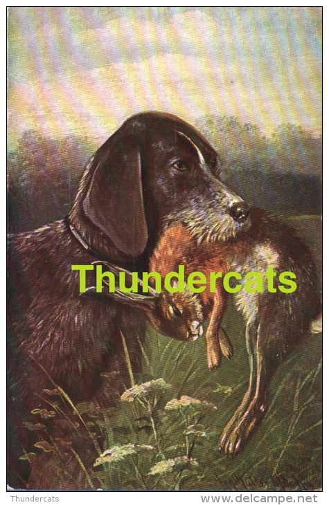 CPA ILLUSTRATEUR  CHIEN LA CHASSE  ** MULLER **  ARTIST SIGNED CARD DOG HUNT ** JACHT HOND - Mueller, August - Munich