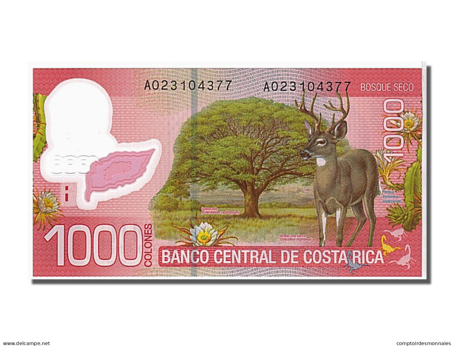 Billet, Costa Rica, 1000 Colones, 2009, NEUF - Costa Rica