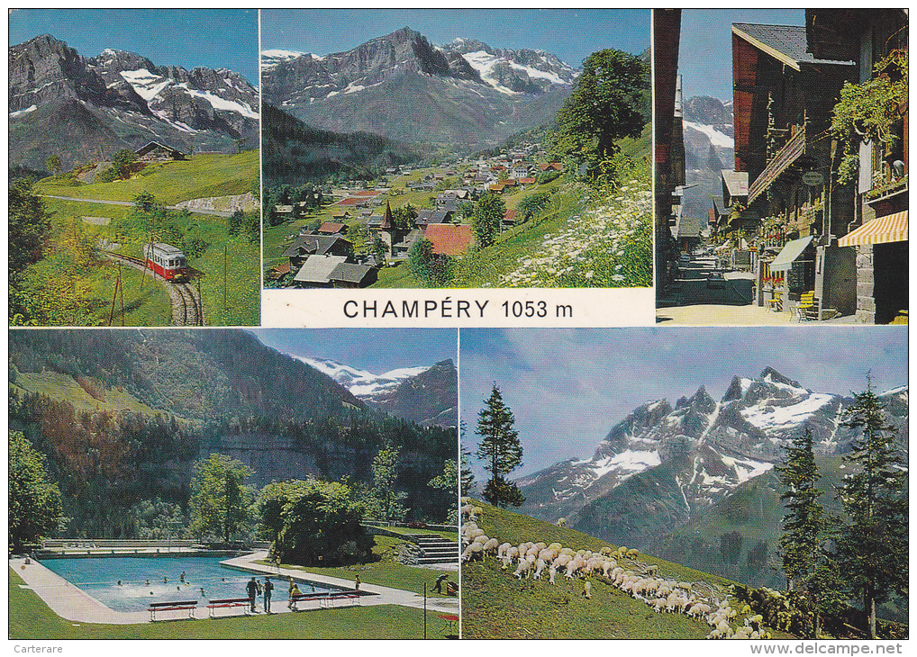 SUISSE,SWITZERLAND,SWISS, HELVETIA,SCHWEIZ,SVIZZERA ,VALAIS,MONTHEY,VAL D´LLIEZ,CHAMPERY,DENTS DU MIDI,PISCINE,mouton - Champéry