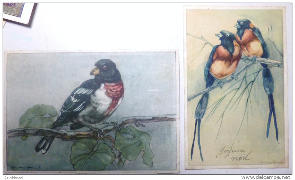 Cp LOT 2X Litho Illustrateur SIGNE Avros N° 301 ET 320 Vogel Serie  Oiseau Oiseaux Voyagé 1948 Timbre Cachet Bruxelles - Collections & Lots