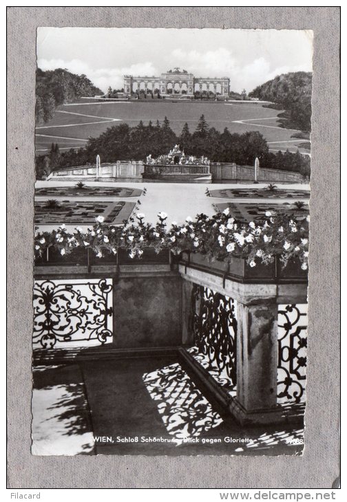43616     Austria,    Wien -  Schloss    Schonbrunn -  Blick  Gegen  Gloriette,  VG  1960 - Château De Schönbrunn