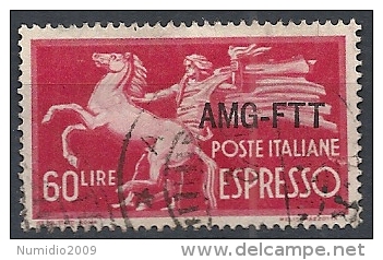 1950 TRIESTE A USATO ESPRESSO 60 LIRE - RR11873 - Poste Exprèsse