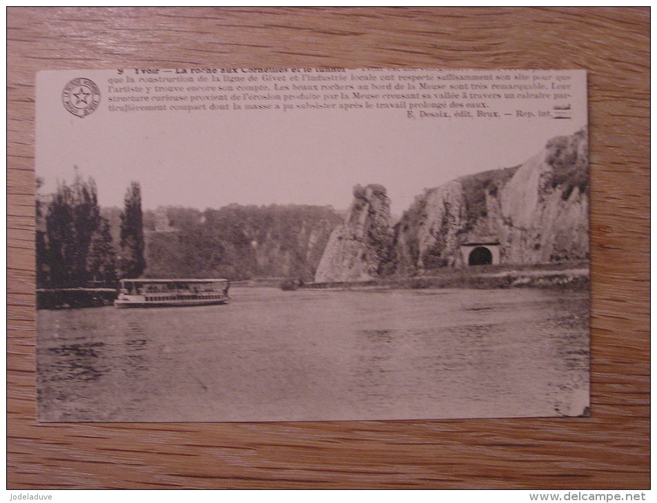 YVOIR Bâteau Mouche La Roche Aux Corneilles Et Le Tunnel Province De Namur CPA Carte Postale Post Card - Yvoir