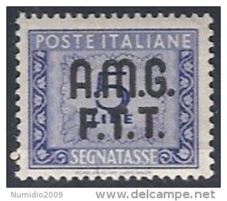 1947-49 TRIESTE A SEGNATASSE 2 RIGHE 5 LIRE MH * - RR11874 - Postage Due