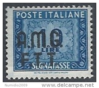 1947-49 TRIESTE A SEGNATASSE 2 RIGHE 10 LIRE MH * - RR11874 - Strafport