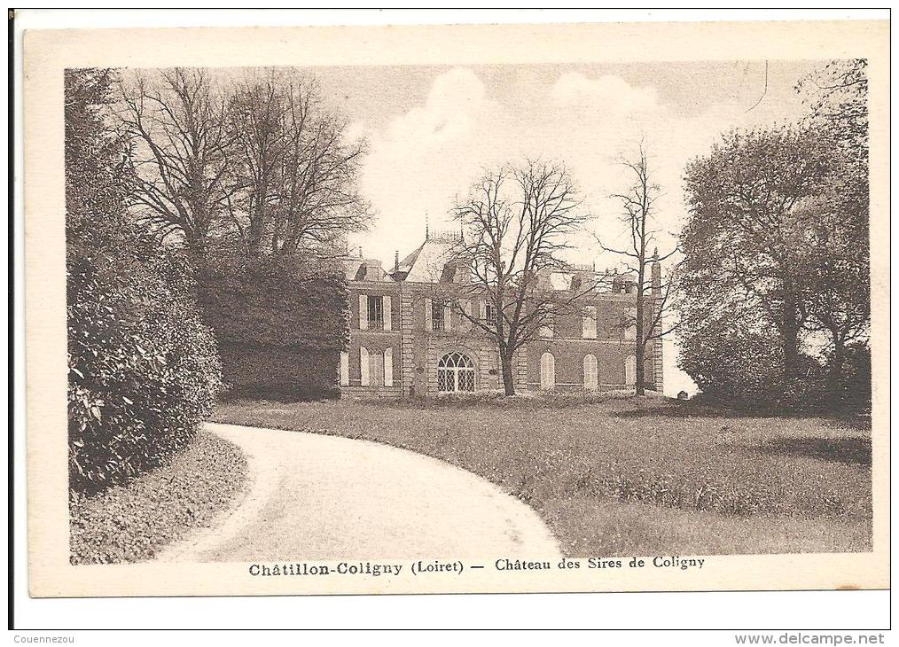 Z 1341    CHATILLON COLIGNY   CHATEAU DES SIRES DE COLIGNY - Chatillon Coligny