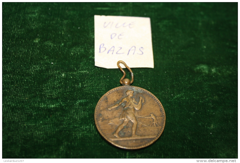 BAZAS - GIRONDE - MEDAILLE DE COMICE AGRICOLE - Professionnels / De Société