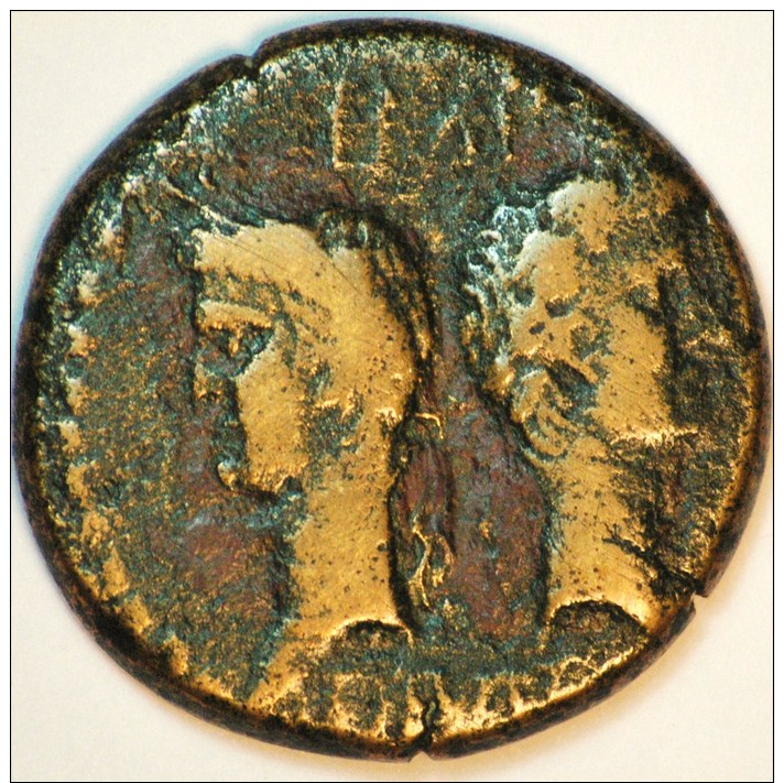 AUGUSTE ET AGGRIPA (-9 -3) AS DE NIMES AE 10.57 Grammes TB+ RARE - The Julio-Claudians (27 BC To 69 AD)