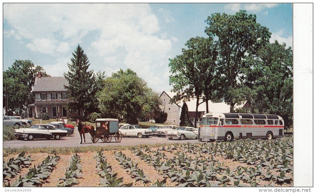 ZS50175 The Amish Farm And House Six Miles East Of Lancaster  Car Voiture  Bus   2 Scans - Lancaster