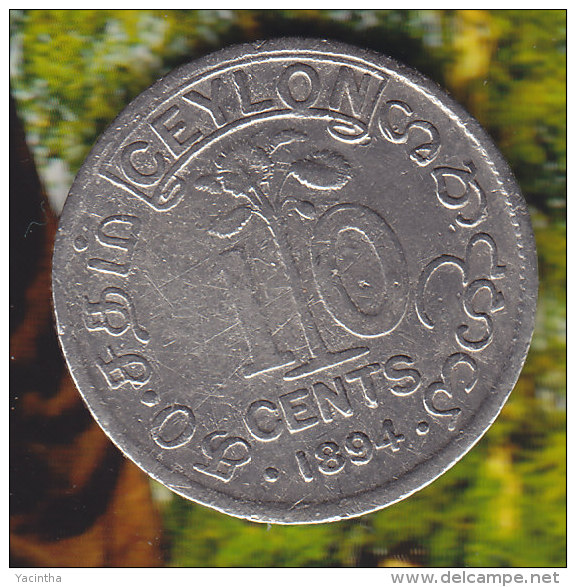 @Y@    Sri Lanka / Ceylon  10  Cents 1894  (2323 ) - Sri Lanka