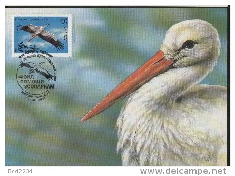 RUSSIA ZSSR USSR CCCP FDC FDI 1991 BIRDS CICONIA CICONIA WHITE STORK MAXI MAXIMUM CARD CARTE Fauna - Ooievaars