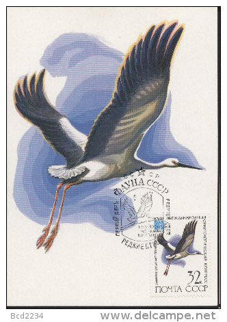 RUSSIA ZSSR USSR CCCP FDC FDI 1982 BIRDS CICONIA BOYCIANA Oriental Stork MAXI MAXIMUM CARD CARTE Fauna Animals - Cigognes & échassiers