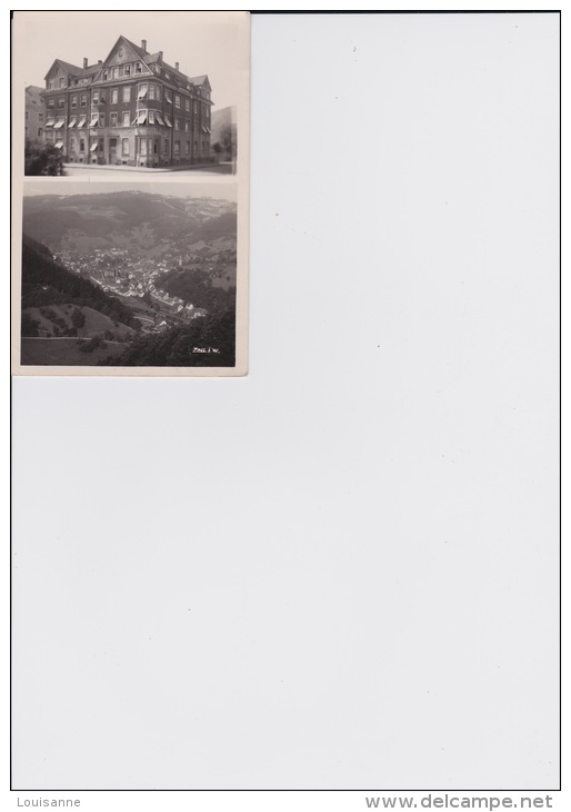 13 / 11 / 198  -   ZELL I.   W - CPSM - Zell