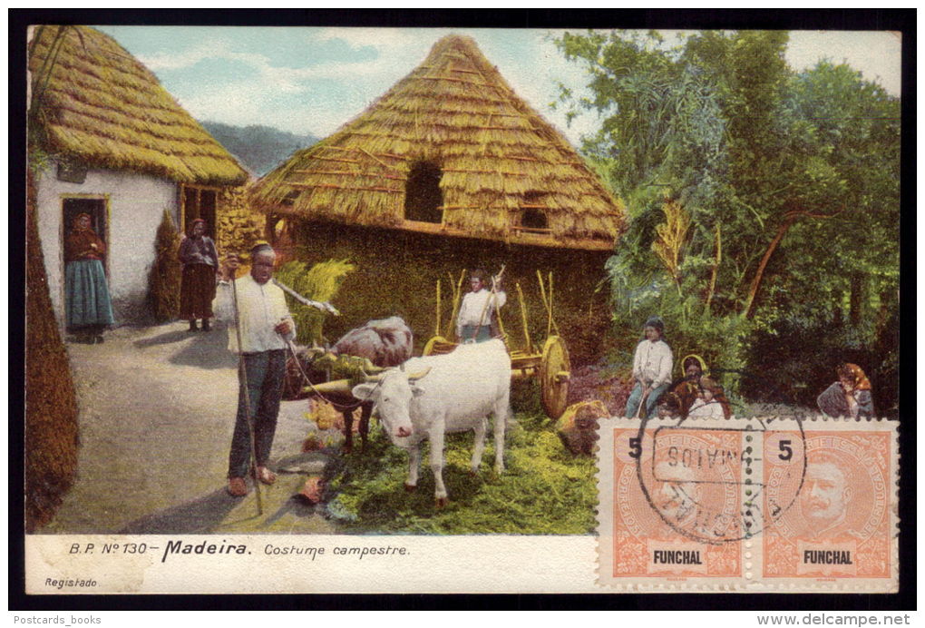 FUNCHAL / MADEIRA  / PORTUGAL Postal Colorido Costumes Campestres. CAtrelado Do Bois. Old Postcard OX CART - Madeira