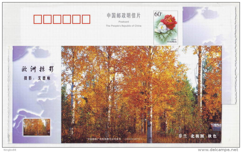 Autumn View Of Finland Arctic Circle,China 2005 European Landscape Advertising Pre-stamped Card - Other & Unclassified