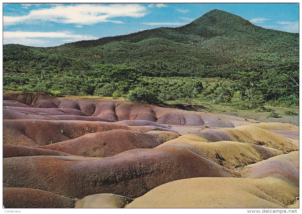 ILE MAURICE,MAURITIUS,archipel Des Mascareignes,océan Indien,ile Volcanique,CHAMAREL,terre Rouge,lave - Sonstige & Ohne Zuordnung