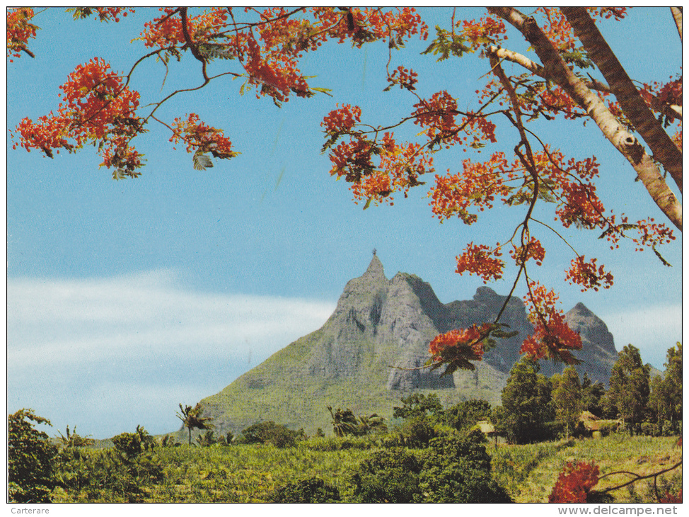ILE MAURICE,MAURITIUS,archipel Des Mascareignes,océan Indien,ile Volcanique,MONTAGNE PIETERBOTH,ETE - Mauritius