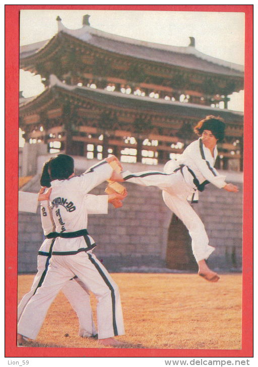 135868 / International Taekwon-Do Federation (ITF) Taekwondo Organization Founded Mar. 22, 1966, By General Choi Hong Hi - Martial