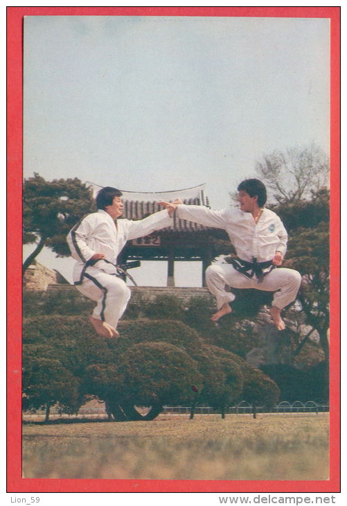 135869 / International Taekwon-Do Federation (ITF) Taekwondo Organization Founded Mar. 22, 1966, By General Choi Hong Hi - Martial