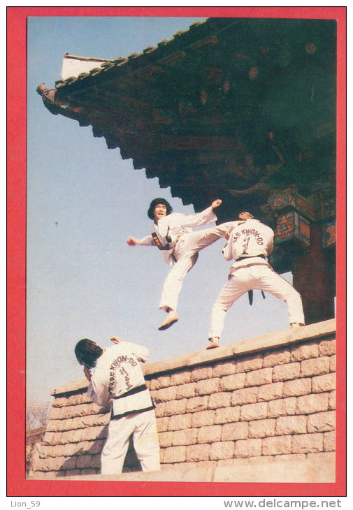 135873 / International Taekwon-Do Federation (ITF) Taekwondo Organization Founded Mar. 22, 1966, By General Choi Hong Hi - Martial