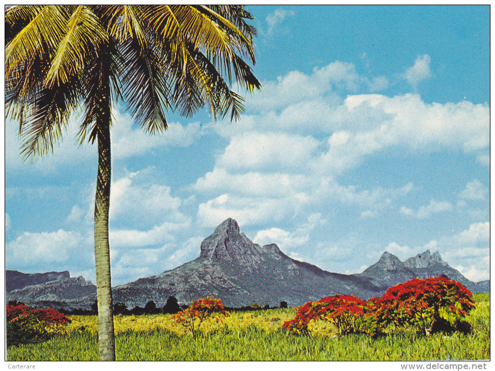 ILE MAURICE,MAURITIUS,archipel Des Mascareignes,océan Indien,ile Volcanique,MONTAGNE REMPART,TROIS MAMELLES TAMARIN - Maurice