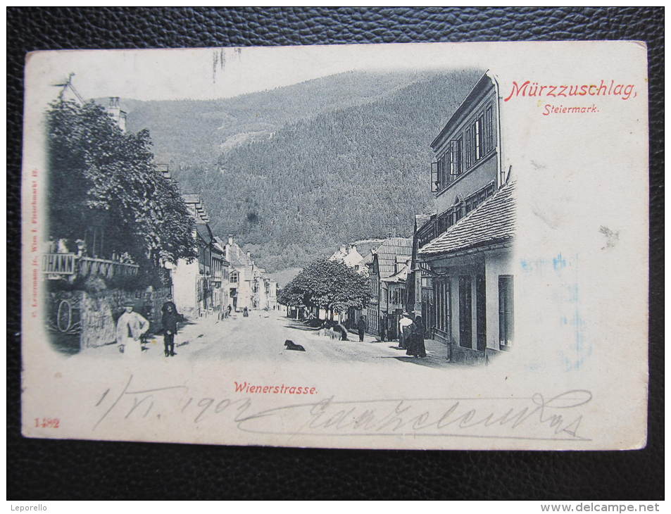 AK MÜRZZUSCHLAG Wienerstrasse 1900  //  D*9536 - Mürzzuschlag