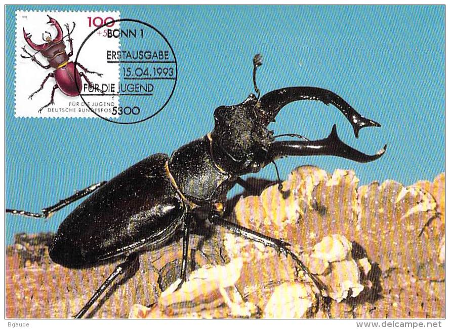 ALLEMAGNE BUND CARTE MAXIMUM NUM.YVERT 1499 COLEOPTERE LUCANE - Otros & Sin Clasificación