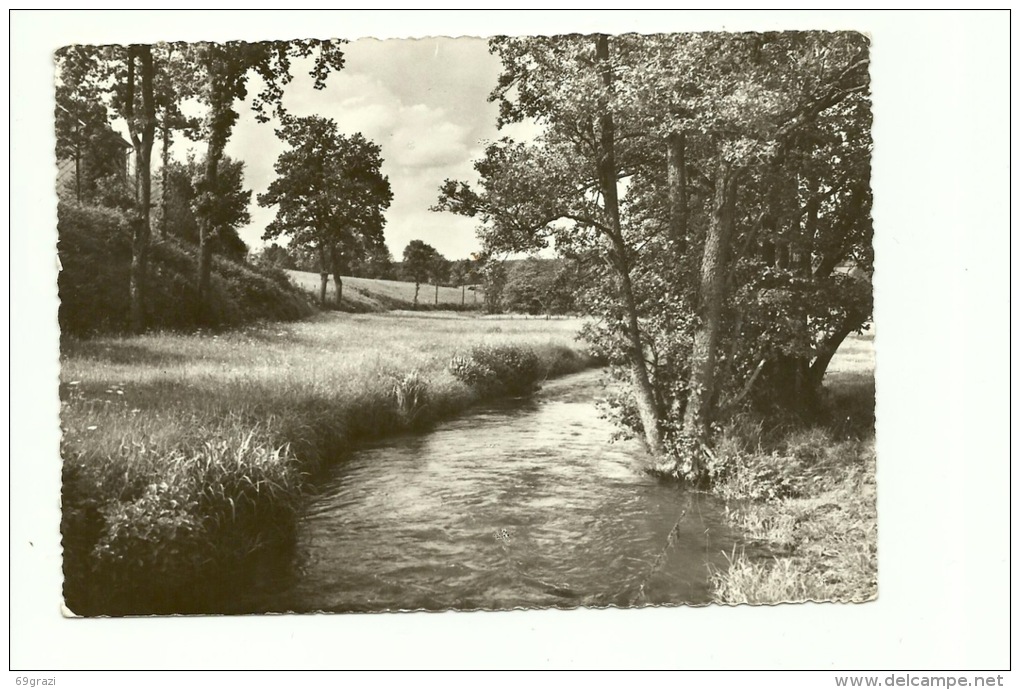 Montenau Hôtel Billen Jung - Ambleve - Amel