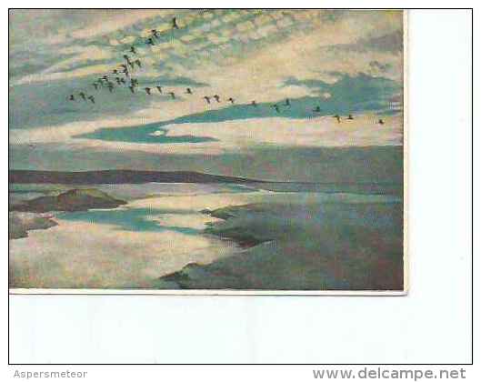 BRENT GEESE FLIGHTING UNDER A MACKEREL SKY BY PETER SCOTT  OHL - Paintings