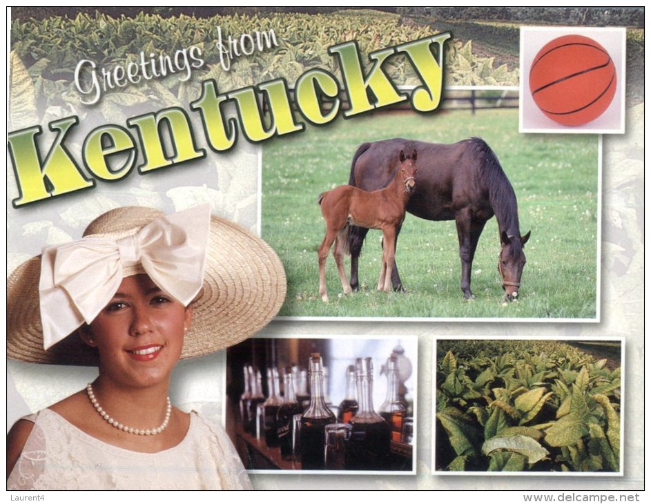 (310) Hippisme - Horse Racing - Kentucky - Basket Ball - Tobacco Growing - Baloncesto