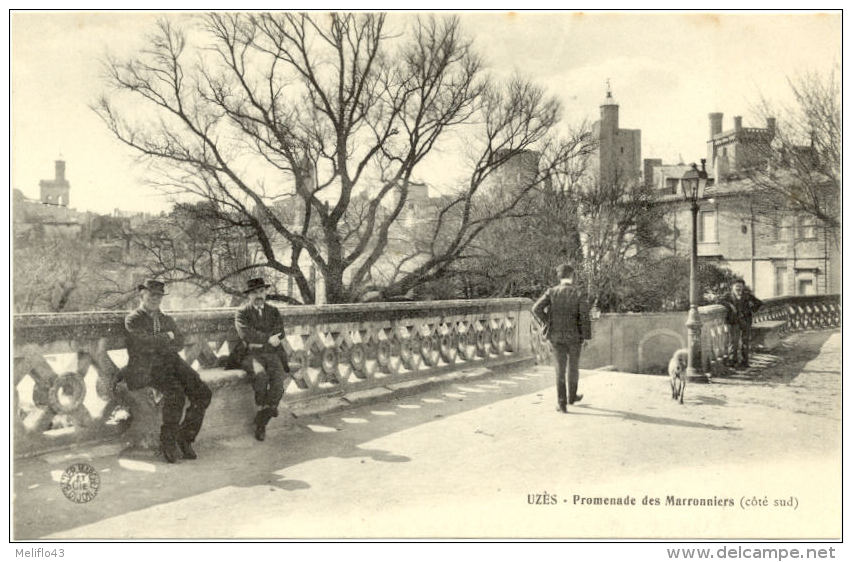 30/CPA A - Uzès -  Promenade Des Maronniers - Uzès