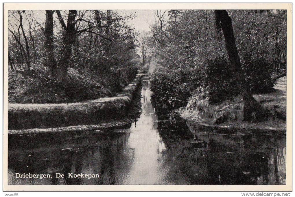 C1940 DRIEBERGEN DE KOEKEPAN - Driebergen – Rijsenburg