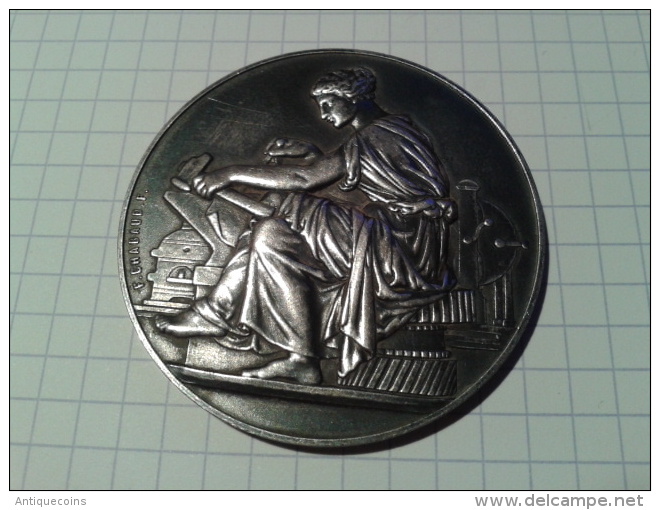 RARE. MÉDAILLE "EXPOSITION NATIONALE DU TRAVAIL (EN ARGENT) - Frankreich