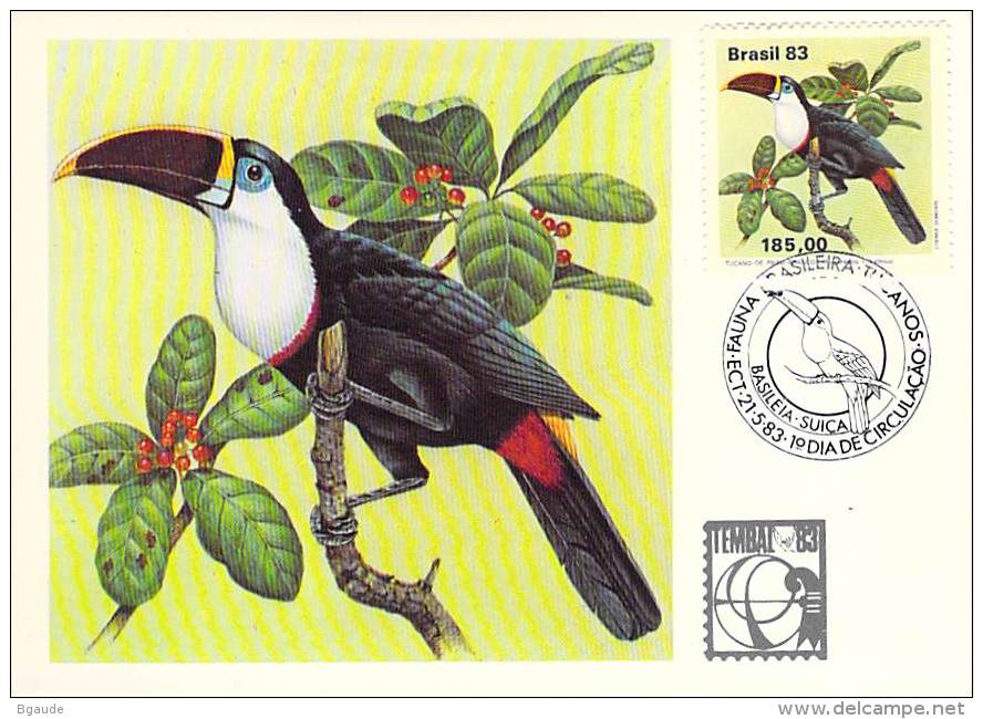 BRESIL CARTE MAXIMUM NUM.YVERT 1601 FAUNE OISEAU TOUCAN - Maximum Cards